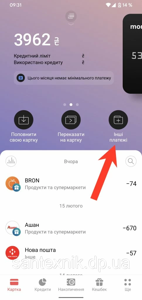 моно 1.jpg