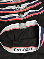 Набор мужских трусов Lacoste Lux из 4 шт черного цвета Отличное качество