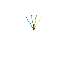 SM  SM Кабель сетевой Одескабель КПВ-ВП (100) 4х2х0,48 (U/UTP-cat.5E-SL) 305 м КПВ-ВП (100) 4х2х0,48 (U/UTP-cat.5E-SL) 305 м