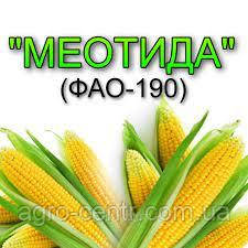 Насіння кукурудзи ДН Меотида, ФАО 190