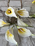 Головка квітки калли, латекс h-17 см, фото 7