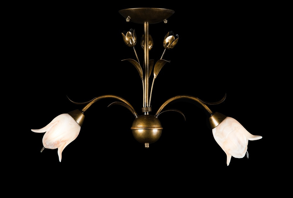 Стельова люстра з плафонами Splendid-Ray 30-2416-80