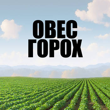 ГОРОХ ОВЕС