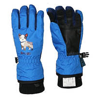 Детские перчатки Echt горнолыжные, синий (C082-blue) - 8-9 років