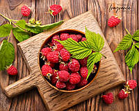 Аромаолія Wild Honeysuckle + Raspberry (Дика жимолость + малина) Midwest Fragrance Company