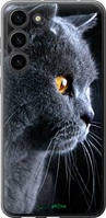 Чехол на Samsung Galaxy S23 Plus Красивый кот "3038u-2905-63407"