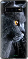 Чехол на Samsung Galaxy S10 Красивый кот "3038u-1640-63407"