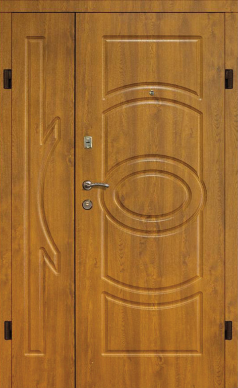 ДВЕРИ ВХОДНІ в приватний будинок 1,20 х 2,05 БЕЗПЛАТНА ДОСТАВКА, фото 1