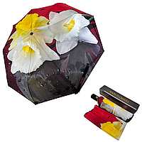Женский зонт автомат Rain CL0013531