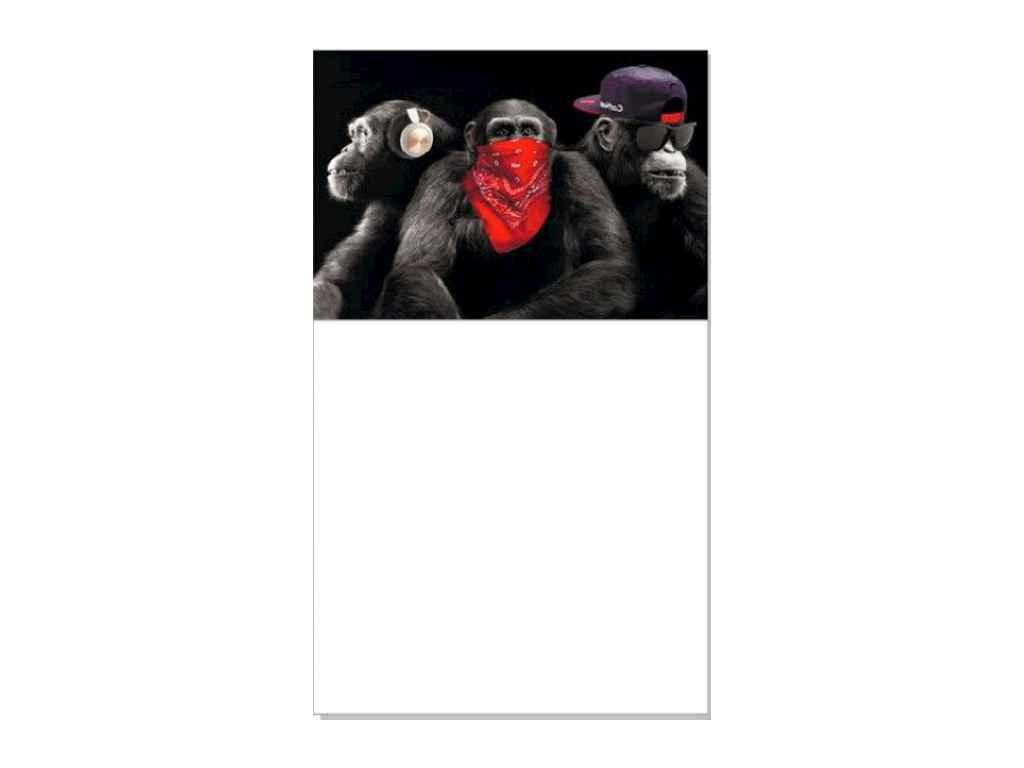 Блокнот на магніті на холодильник Monkey ТМ Jumbi FG