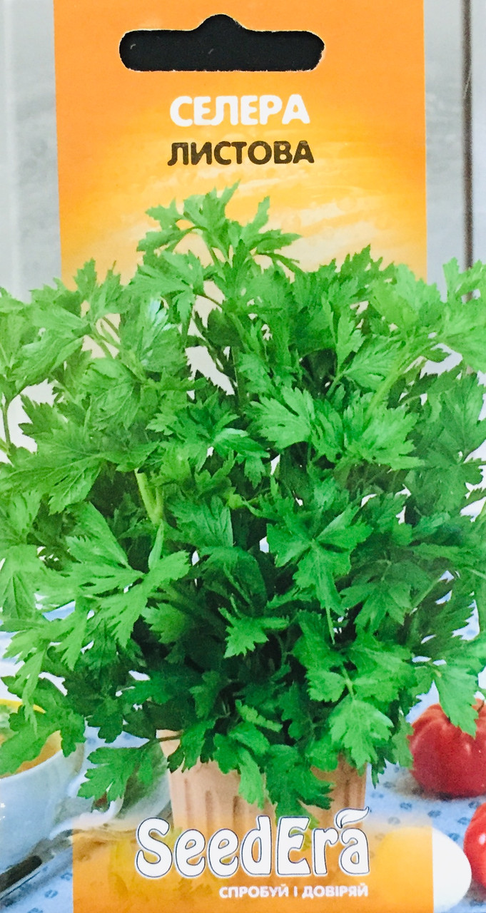 Селера Листова 0,2 г, фото 1