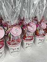 Індивідуальний дитячий подарунок для малюків "Веселі Сюрпризи", Маленький набір дитячих цукерок