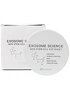 KOR JAPAN The Exosome Science Eye Sheet White кругові зволожуючі патчі проти ознак віку (60 шт)