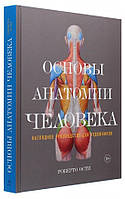 Основи анатомії людини. Наочний посібник для художників  / Роберто Ості/