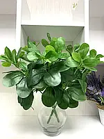 Штучна рослина — Фікус Пумілю. Кущ для декору (латекс 37 см)