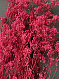 Гіпсофіла стабілізована яскраво рожева 100 гр, фото 2
