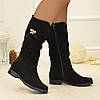 Напівчоботи жіночі замшеві на низькому ходу, колір чорний, фото 3