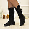 Напівчоботи жіночі замшеві на низькому ходу, колір чорний, фото 5