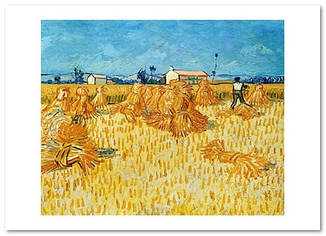Листівка Vincent van Gogh — Corn Harvest in Provence