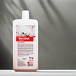 Професійний засіб для миття та очищення ванних кімнат Білизна кераміка 1 л, фото 3