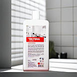 Професійний засіб для миття та очищення ванних кімнат Білизна кераміка 1 л, фото 7