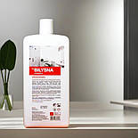 Професійний засіб для миття та очищення ванних кімнат Білизна кераміка 1 л, фото 4