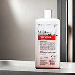 Професійний засіб для миття та очищення ванних кімнат Білизна кераміка 1 л, фото 10