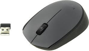 Миша LOGITECH Wireless Mouse M170 (6273019)