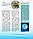 Життя моря. Світ і його таємниці. Енциклопедія українською мовою Видавництво "Ранок" С740006У, фото 7