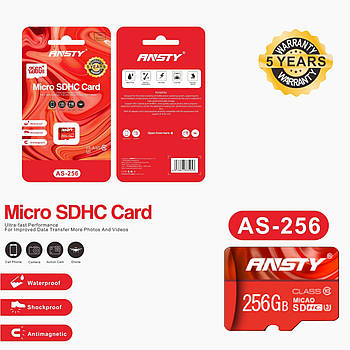 Карта пам'яті ANSTY AS-256 microSDXC 256GB Class 10 100MB/s no adapter