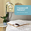 Подушка PRESENT з дихаючим бортом ТМ IDEIA 50х70 см білій/беж 8-34529*001, фото 7