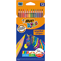 Олівці кольорові Bic Evolution Stripers 12 шт (bc9505221)