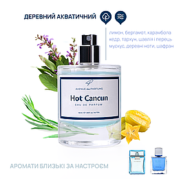 Мужские духи Hot Cancun (Man Eau Fraiche,Blue Seduction)  AVENUE des PARFUMS