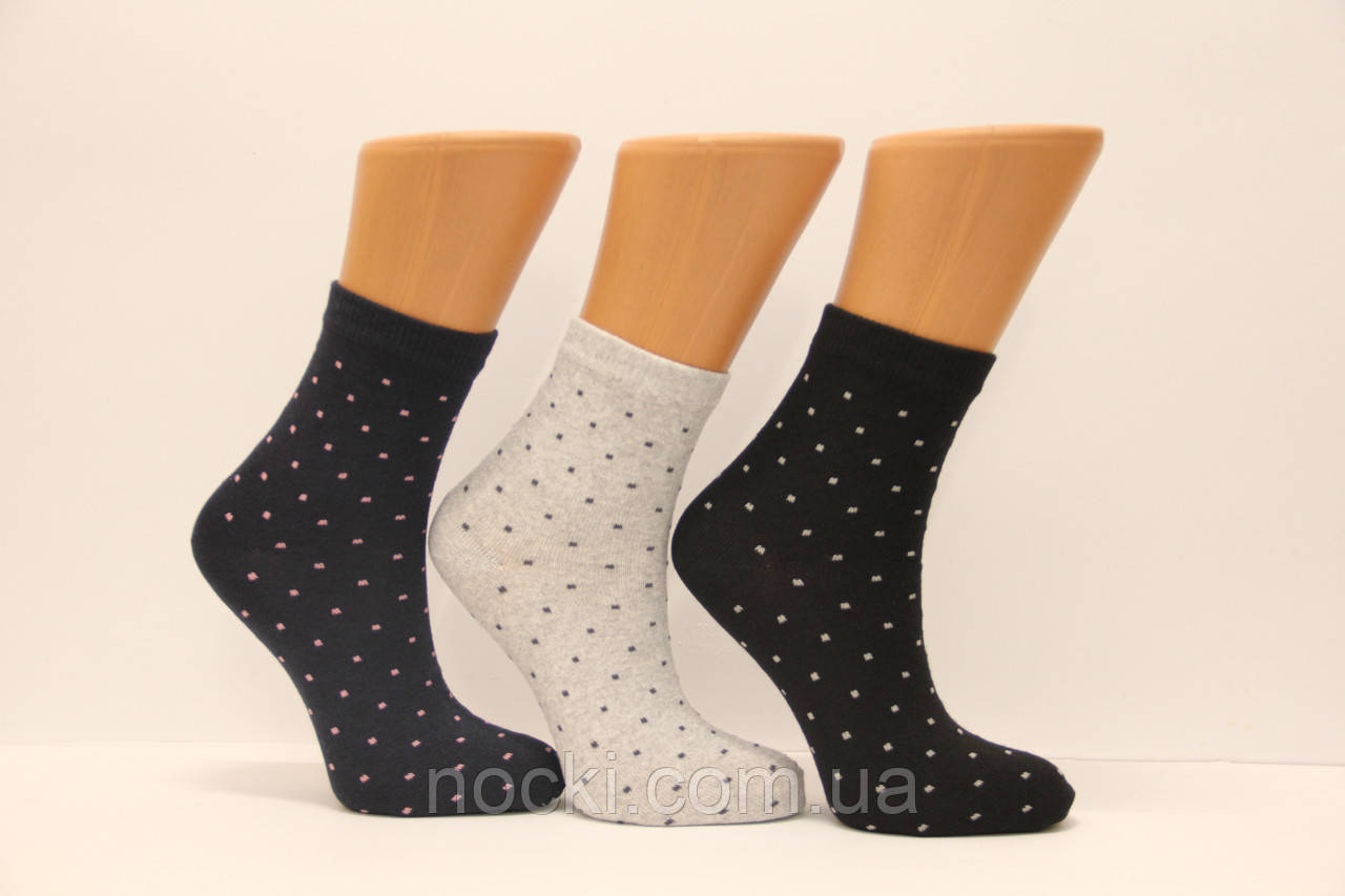 Жіночі шкарпетки середні стрейчеві п/е НЛ 23-25 JLE-15 дрібні горошки - фото 1 - id-p2080643368