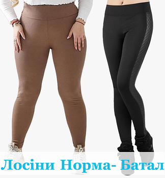 Жіночі лосини оптом від виробника - Норма, Батали, Супер Батали