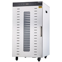Дегідратор FROSTY FFD-20H