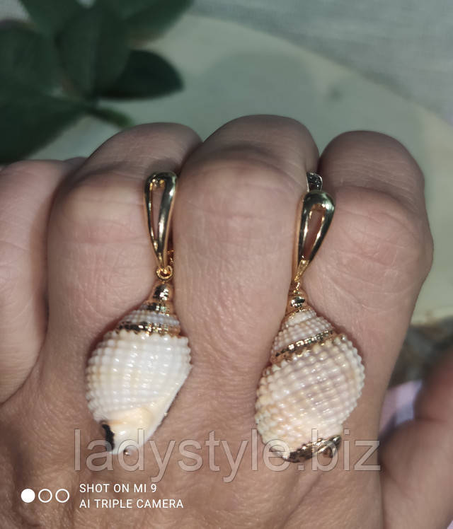 натуральные раковины серьги