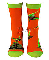 Шкарпетки чоловічі 1559р.27-29 оранжевий