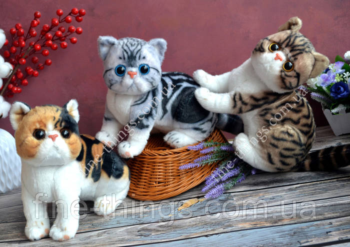 Мягкие игрушки кот, мягкая игрушка реалистичный кот Экзот, реальный ...