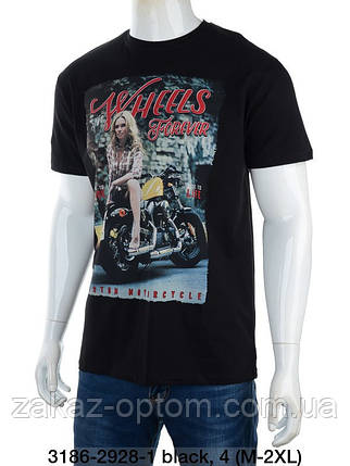 Футболка муская оптом (M-L-XL-2XL) Туреччина 3186-114492, фото 1