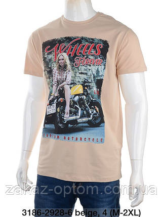 Футболка чоловіча оптом (M-L-XL-2XL) Туреччина 3186-114497, фото 1
