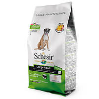 Schesir (Шезир) Dog Large Adult Lamb сухий корм для собак великих порід з рибою