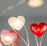 Подарок на день святого Валентина девушке на 14 февраля Оригинальный гирлянда сердце светодиодная Роса 5м LED