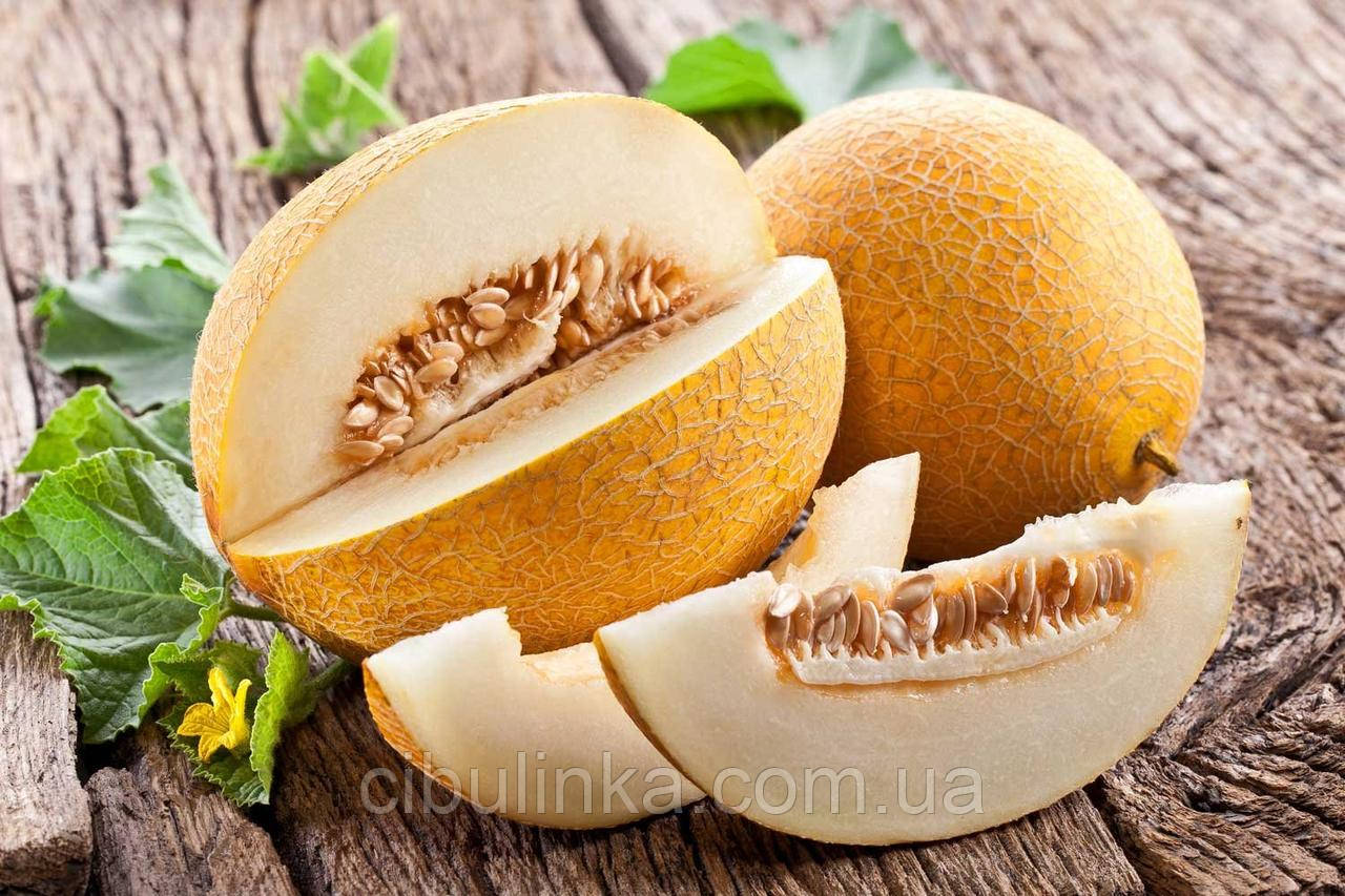 Диня Запашна 10 шт (zip-пакет), фото 1