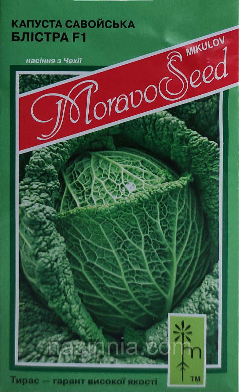 Капуста савойська Блістра F1 20 насінин, фото 1