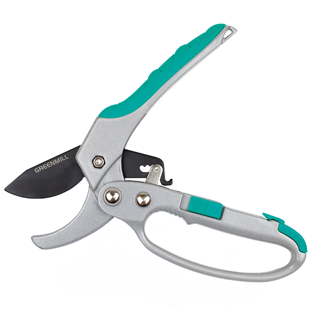 Секатор садовий із храповим механізмом Grenmill GR0076N, фото 1