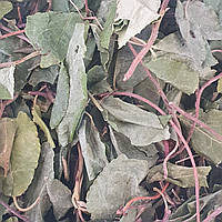 1 кг Боровая матка/ортилия однобокая трава сушеная (Свежий урожай) лат. Orthília secúnda