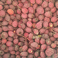 1 кг Боярышник плоды/ягоды сушеные (Свежий урожай) лат. Crataegi