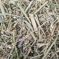 1 кг Донник/буркун трава сушена (Свежий урожай) лат. Melilótus officinális