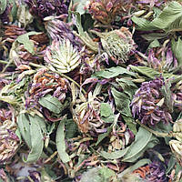 1 кг Клевер цвет/трава сушеная (Свежий урожай) лат. Trifólium